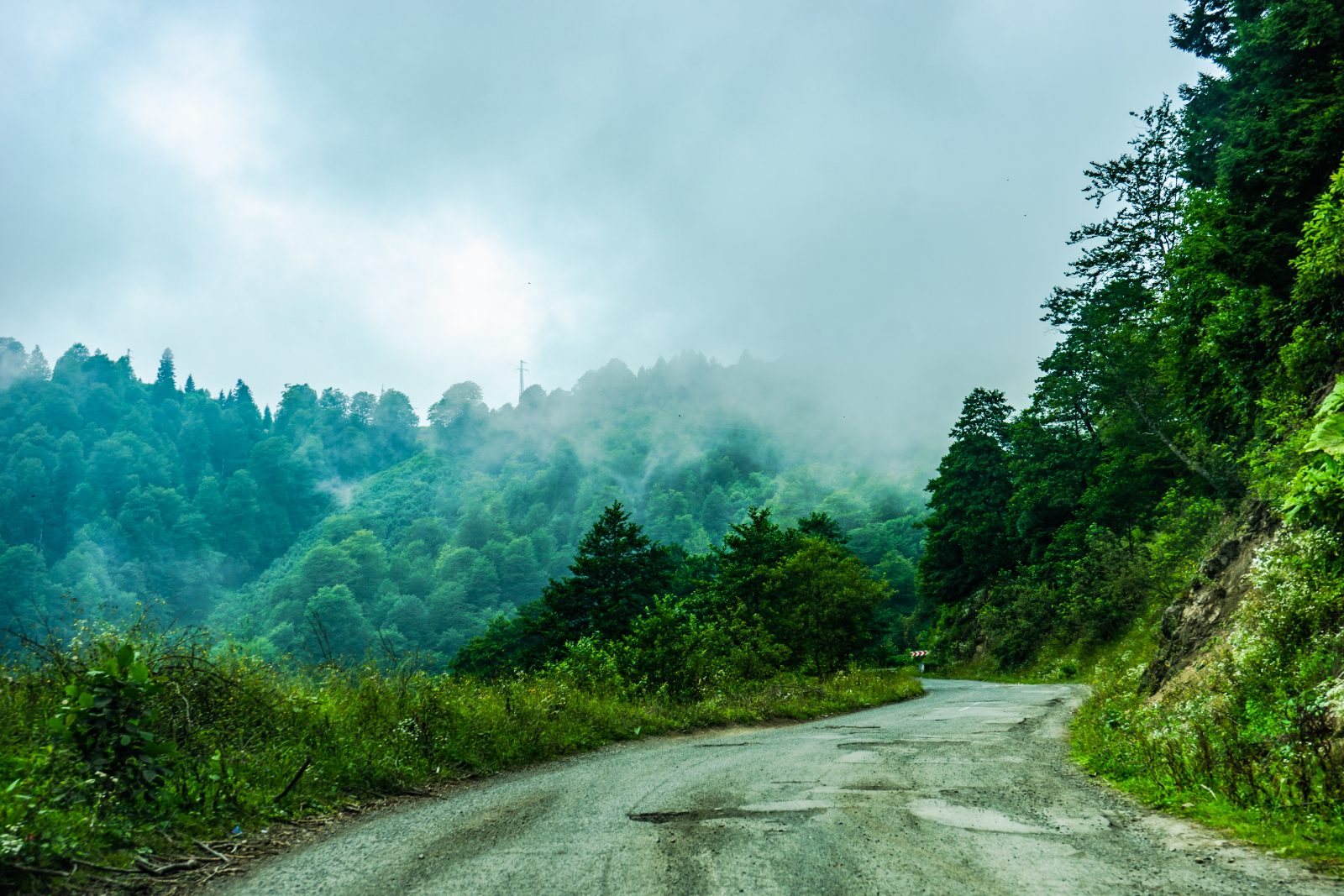 Georgia Escape – photo 4