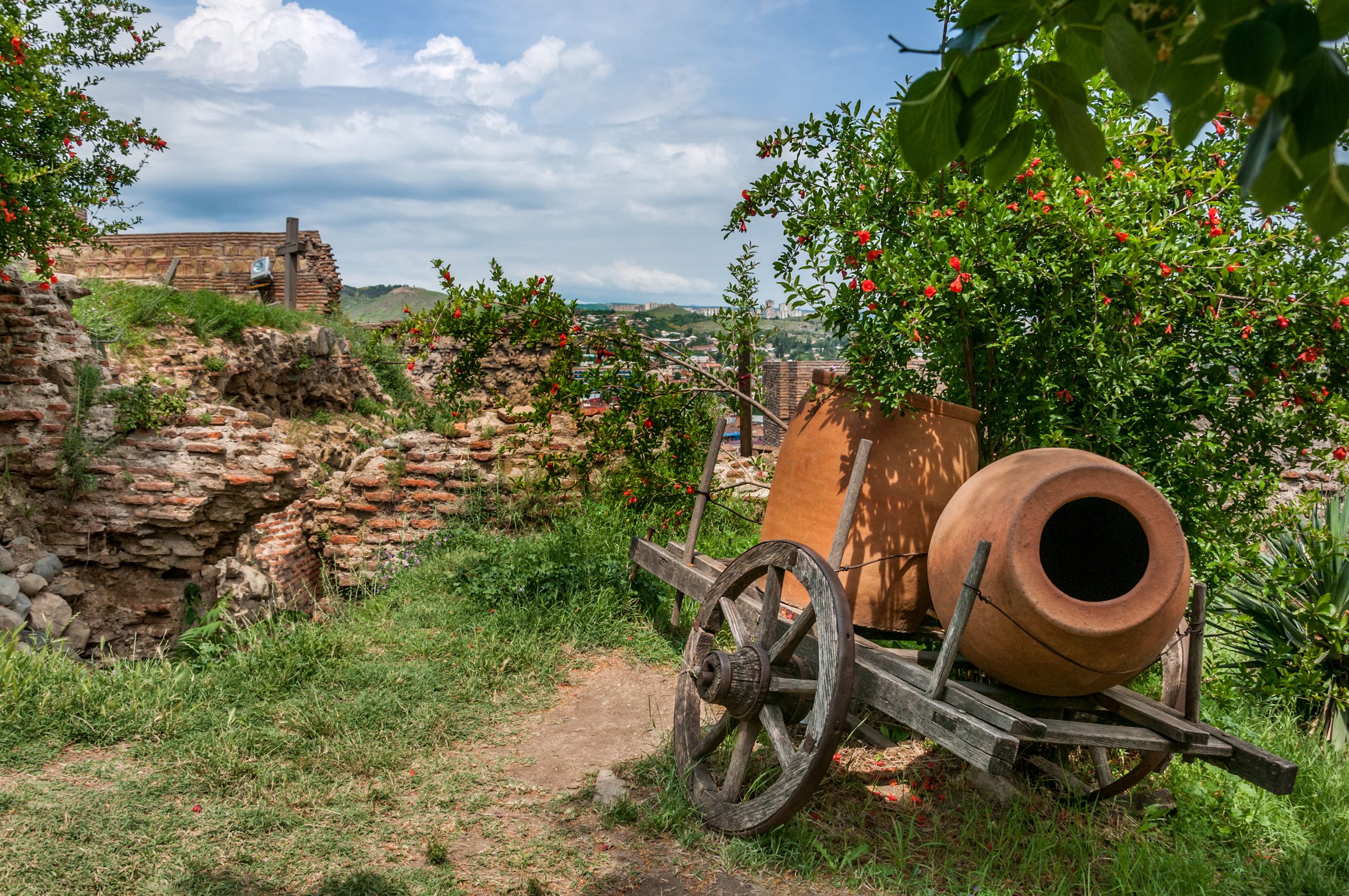 Grapes and qvevri clay vessels in a Kakheti vineyard